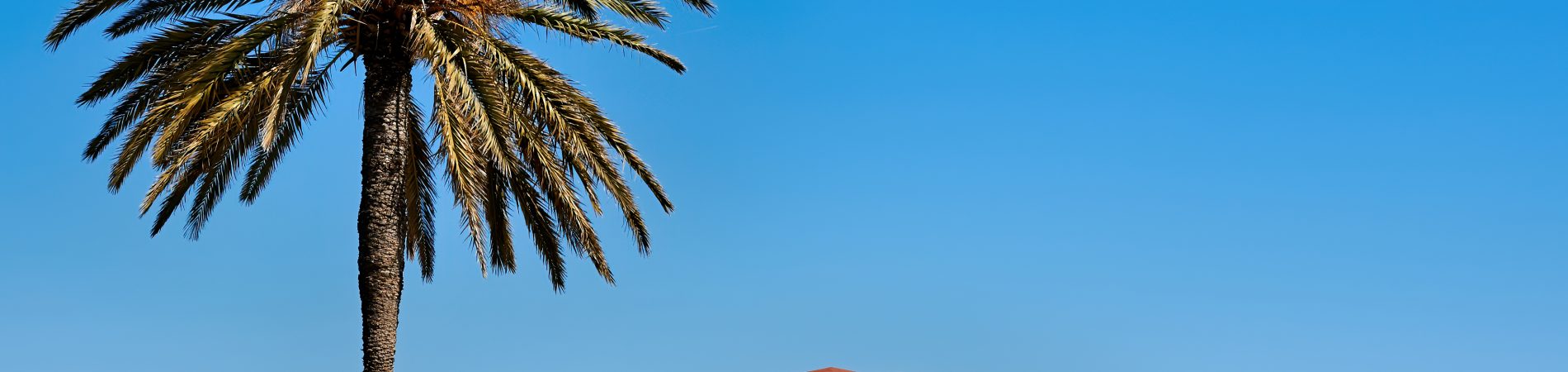 Séjour linguistique Santa Monica USA