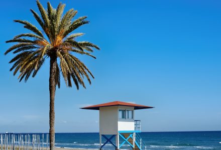 Santa Monica séjour linguistique en Californie !